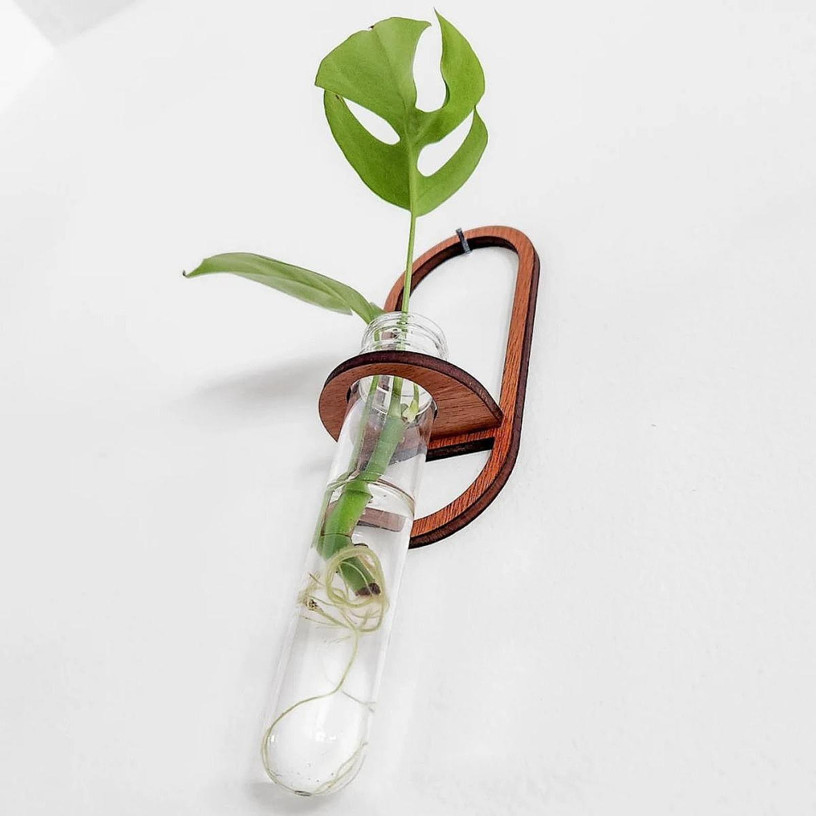 Hydroponic Plant Vase Wooden W - огляд і ціна Propagation Station Vase