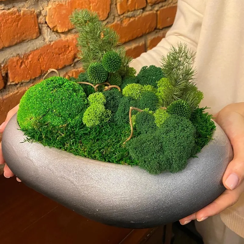 Eternal Life Moss Grass Artifi - огляд і ціна Sphagnum Moss Dry