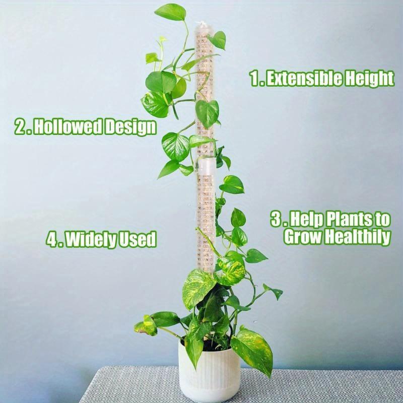 Plant Climbing Column Sphagnum - огляд і ціна Sphagnum Moss Dry