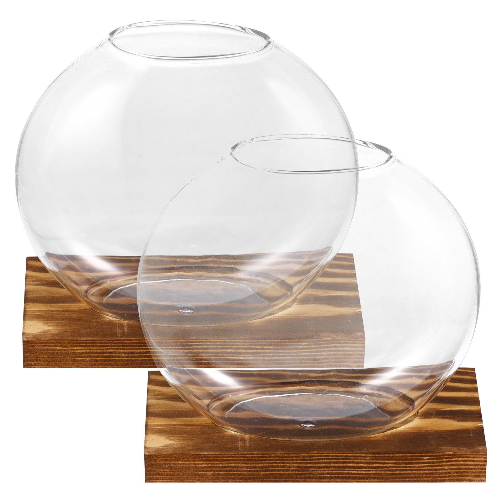 2Sets Glass Small Plant Vase F - огляд і ціна Propagation Station Vase