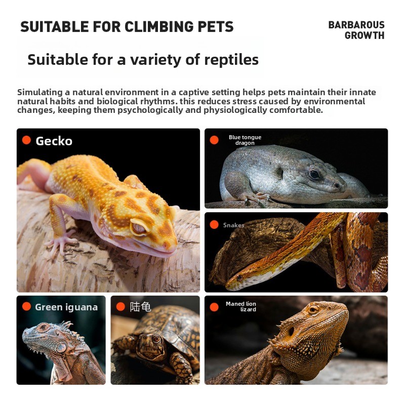 Pine Bark Reptile Bedding Fore - огляд і ціна Sphagnum Moss Dry